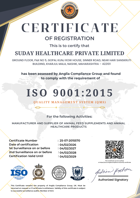 Excellence Certificate